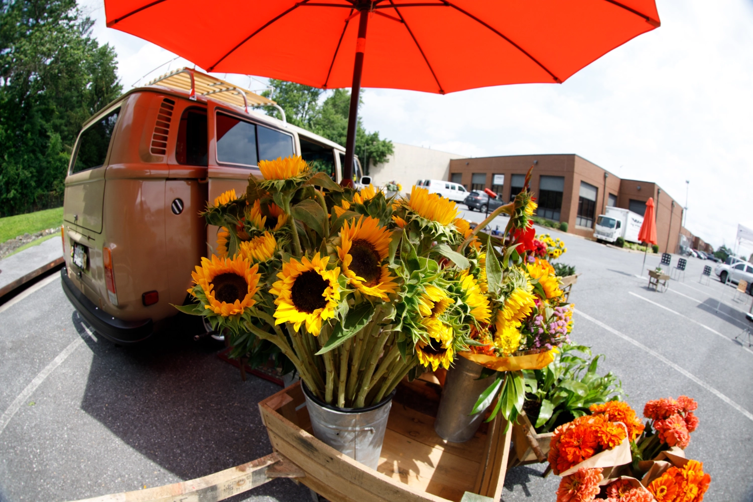The VW Blooming Bus parked with buckets of fresh sunflowers